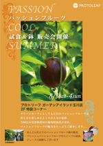 PASSION-COOL-SUMMER